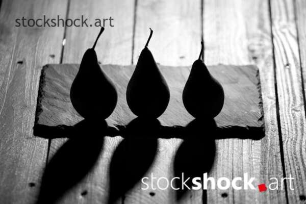 Pears on a black background, black&white, stock image