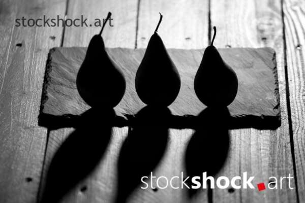 Pears on a black background, black&white, stock image