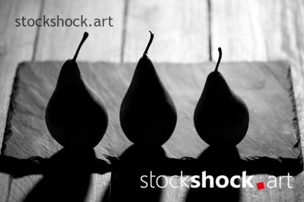 Pears on a black background, black&white, stock image