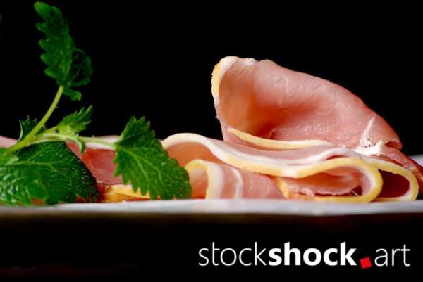 ham on a black background with a green branch