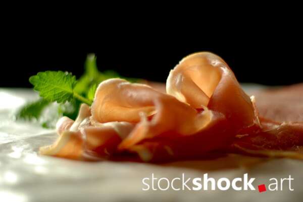 ham on a black background with a green branch
