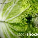 cabbage art, texture, mirror