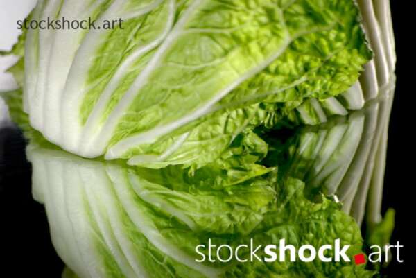 cabbage art, texture, mirror