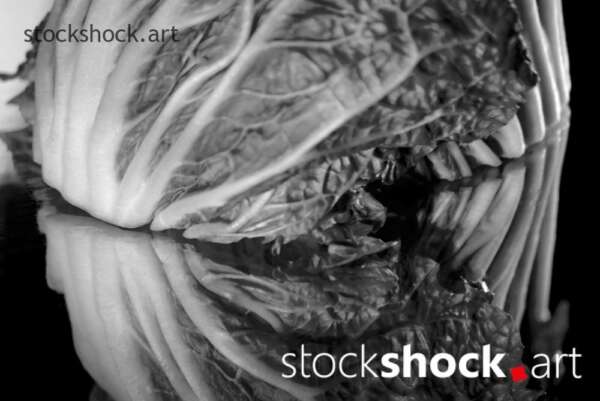 cabbage art, texture, mirror