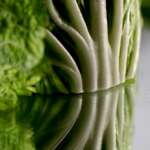 cabbage art, texture, mirror