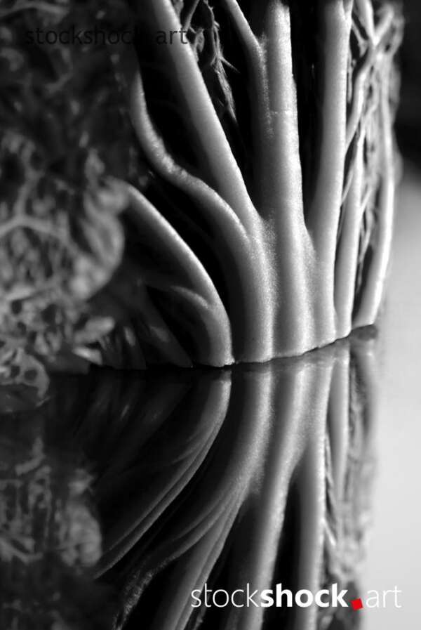 cabbage art, texture, mirror