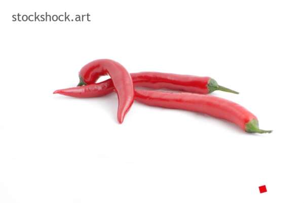 chili pepper on white background.