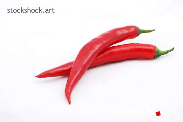 chili pepper on white background.