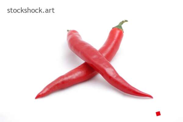 chili pepper on white background.