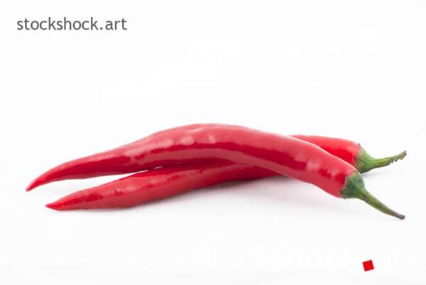 chili pepper on white background.