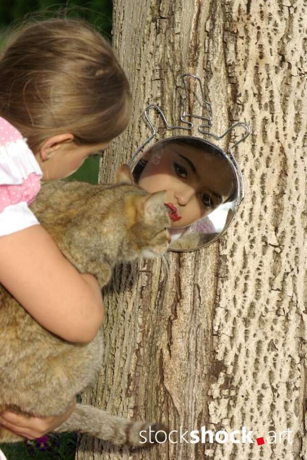 Alice's Adventures in Wonderland. I'm not crazy. My reality is just different from yours. Lewis Carroll