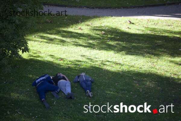 people sleeping on the grass