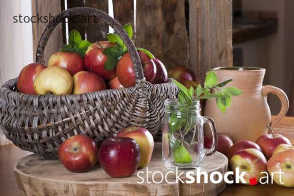 Fruit - stock image