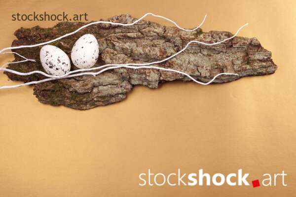Easter. Eggs on a wooden stand., stock image