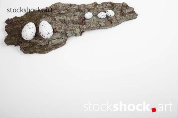 Easter. Eggs on a wooden stand, on a white background