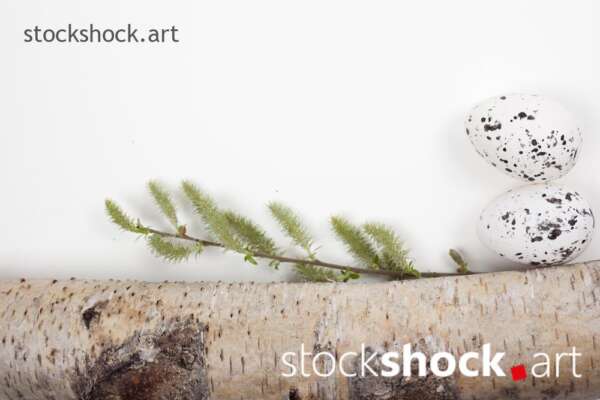 Easter. Eggs on a wooden stand, on a white background