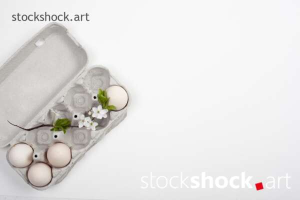 Easter. Eggs in an ecological cardboard carton with a branch of blooming cherry