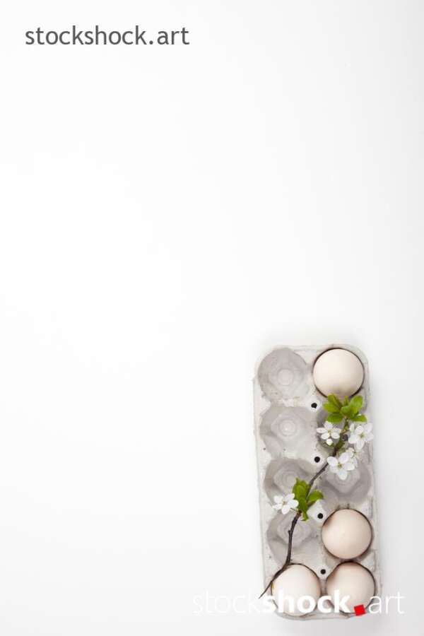 Easter. Eggs in an eco-friendly carton with a branch of blooming cherry on a white background - stock image
