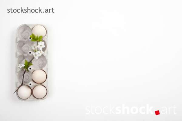 Easter. Eggs in an eco-friendly carton with a branch of blooming cherry on a white background - stock image