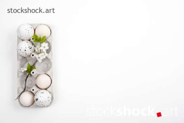 Easter. Eggs in an eco-friendly carton with a branch of blooming cherry on a white background - stock image