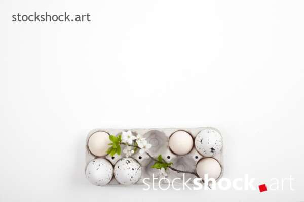 Easter. Eggs in an eco-friendly carton with a branch of blooming cherry on a white background - stock image