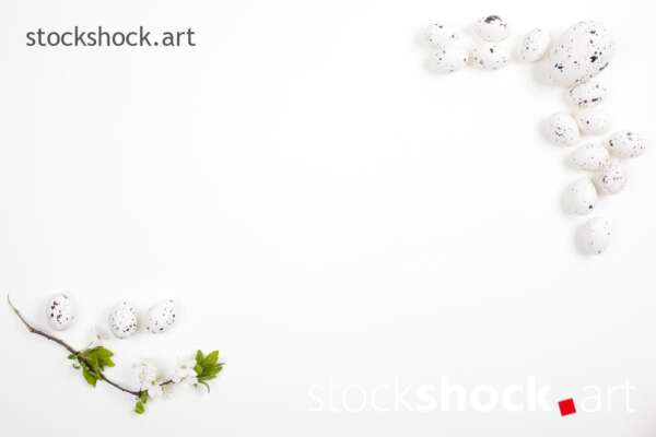 Easter eggs and a branch of blooming cherry on a white background - stock image