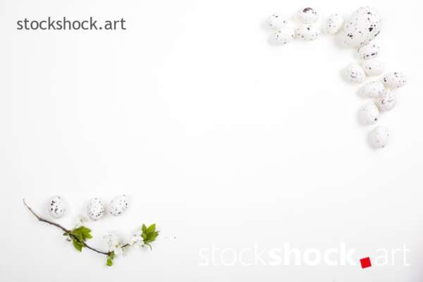 Easter eggs and a branch of blooming cherry on a white background - stock image