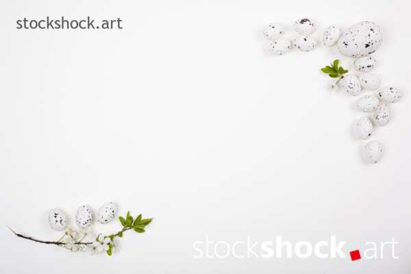 Easter eggs and a branch of blooming cherry on a white background - stock image