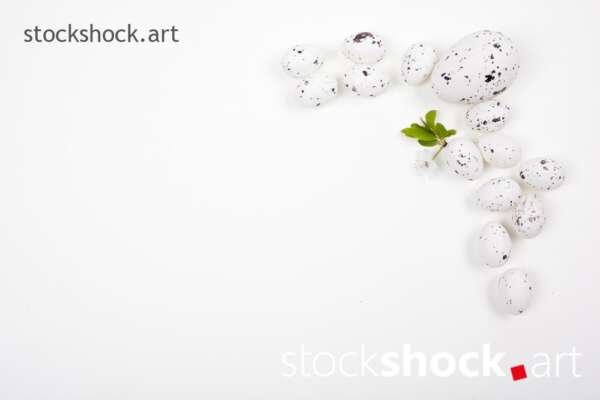 Easter eggs and a branch of blooming cherry on a white background - stock image