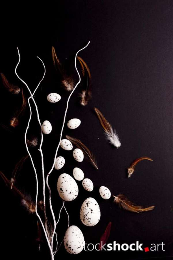Easter. White willow branches with quail eggs on a black background - stock image