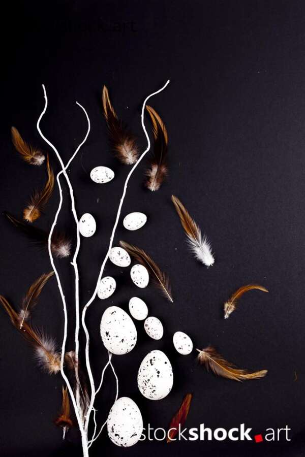 Easter. White willow branches with quail eggs on a black background - stock image