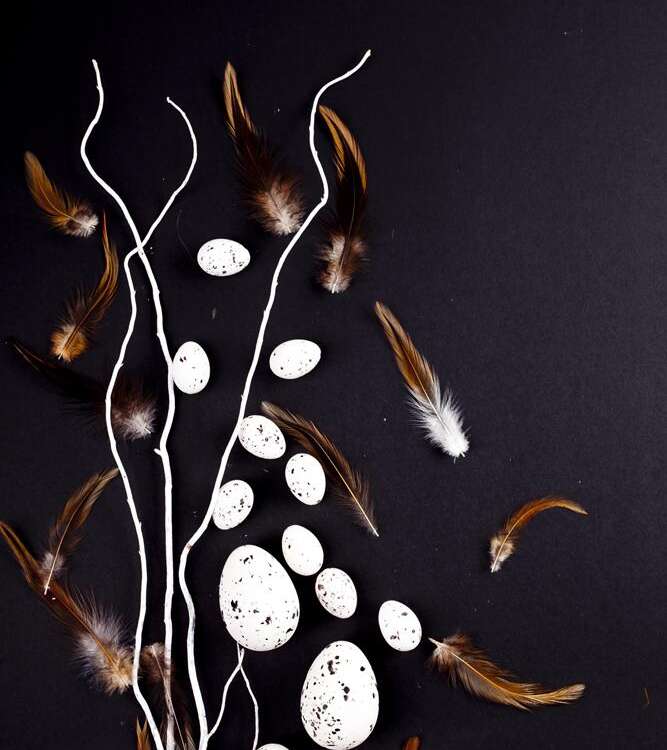 Easter. White willow branches with quail eggs on a black background - stock image