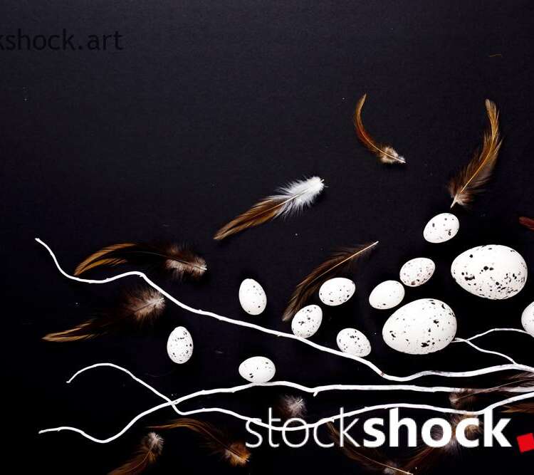 Easter. White willow branches with quail eggs on a black background - stock image