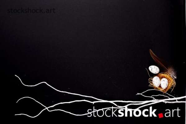 Easter. White willow branches with a nest of quail eggs on a black background.