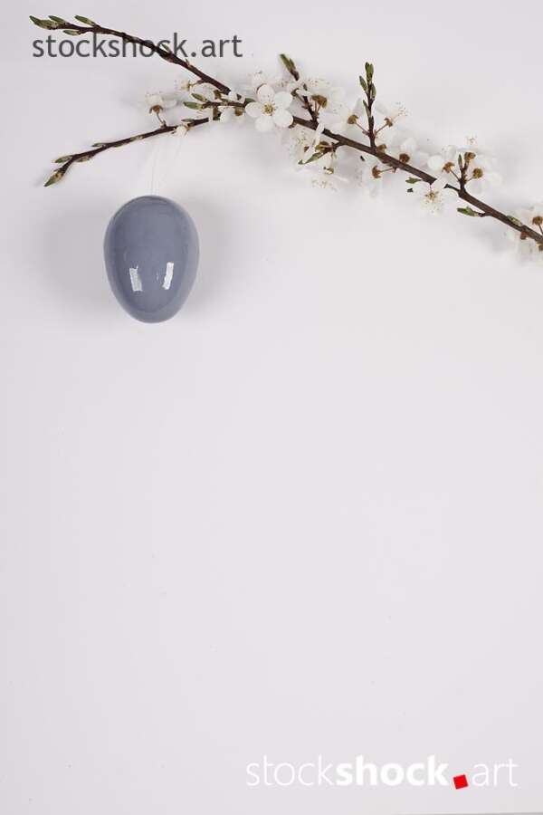 Easter egg with a branch of blooming cherry on a white background