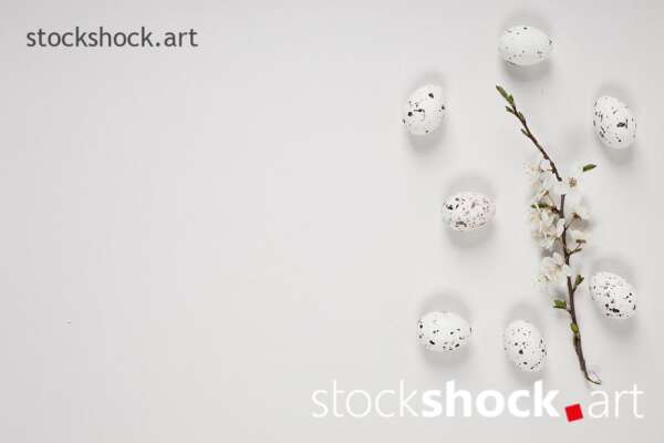 Easter egg with a branch of blooming cherry on a white background
