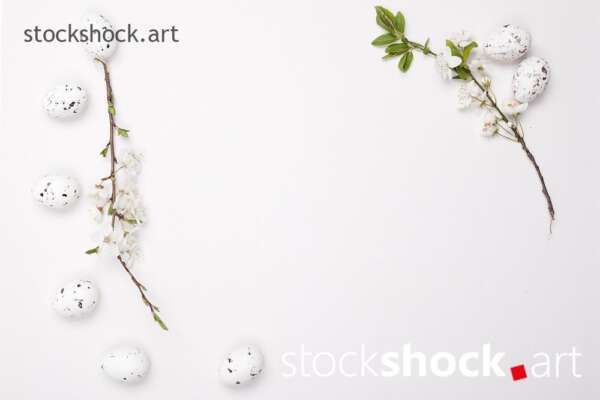 Easter eggs and a branch of blooming cherry on a white background - stock image