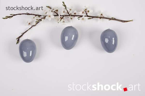 Easter eggs with a branch of blooming cherry on a white background