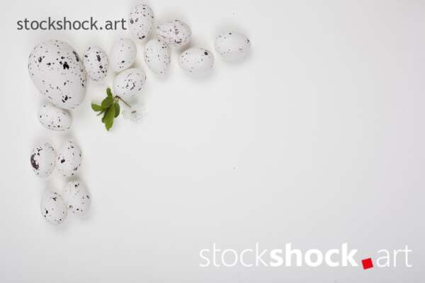Easter eggs and a branch of blooming cherry on a white background, stock image, postcard