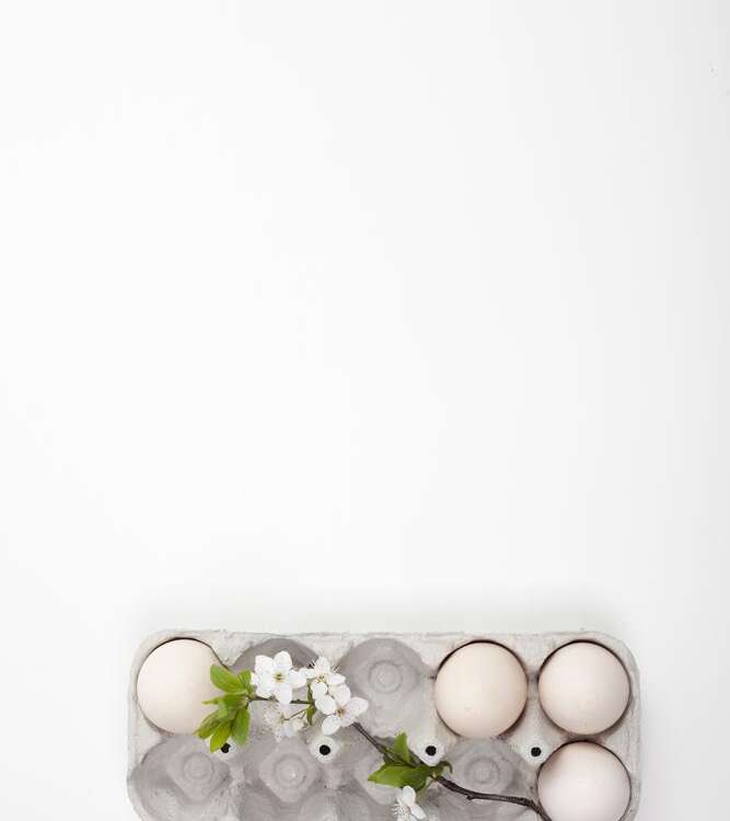 Easter. Eggs in an eco-carton with a branch of blooming cherry on a white background, stock image