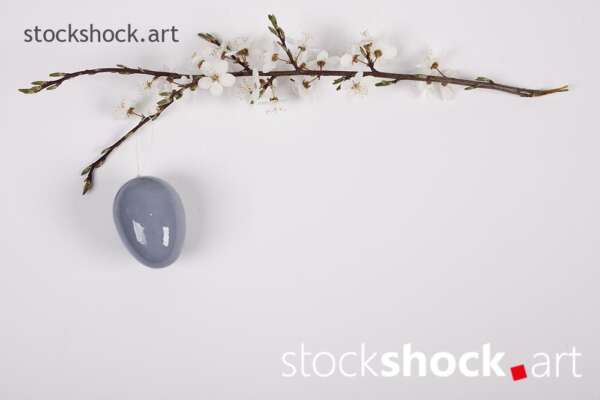Easter eggs with a branch of blooming cherry on a white background