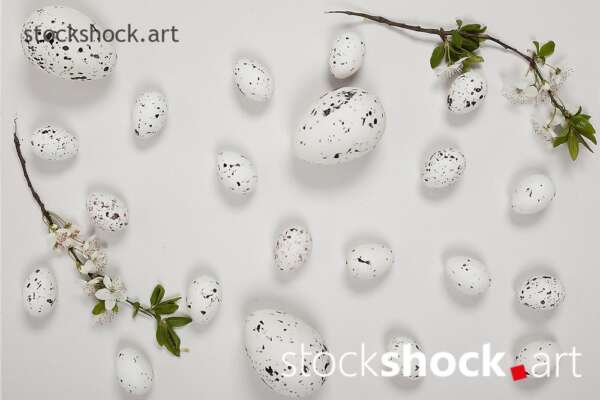 Easter eggs on a white background