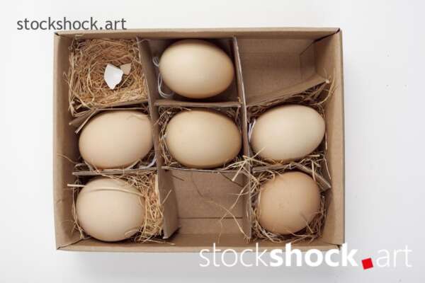 Easter. Eggs in a carton with a straw lining on a white background