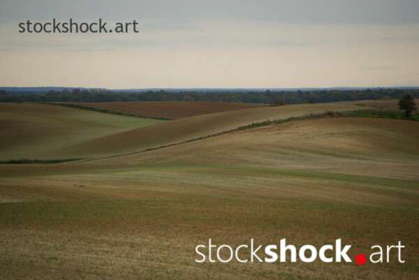 early spring, landscape