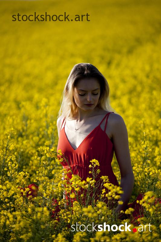 Girl in a red dress in yellow rapeseed, portrait, stock image