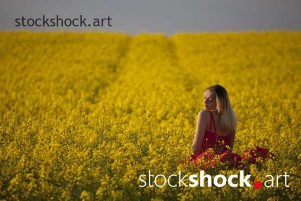 Girl in a red dress in yellow rapeseed, portrait, stock image