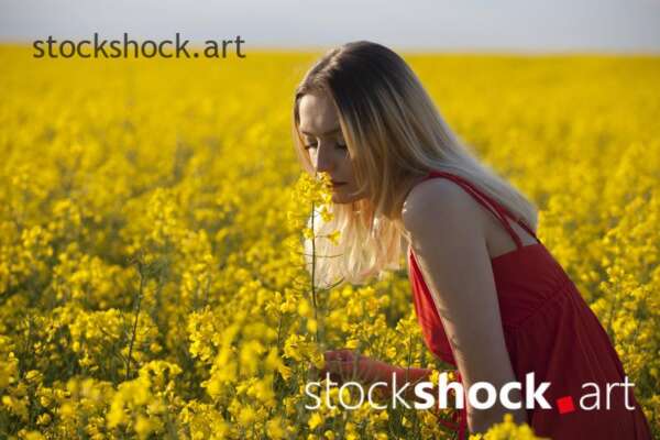 Girl in a red dress in yellow rapeseed