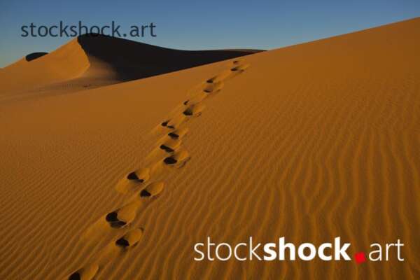 Traces in the sand, Sahara, sand, desert, blue sky, stock image