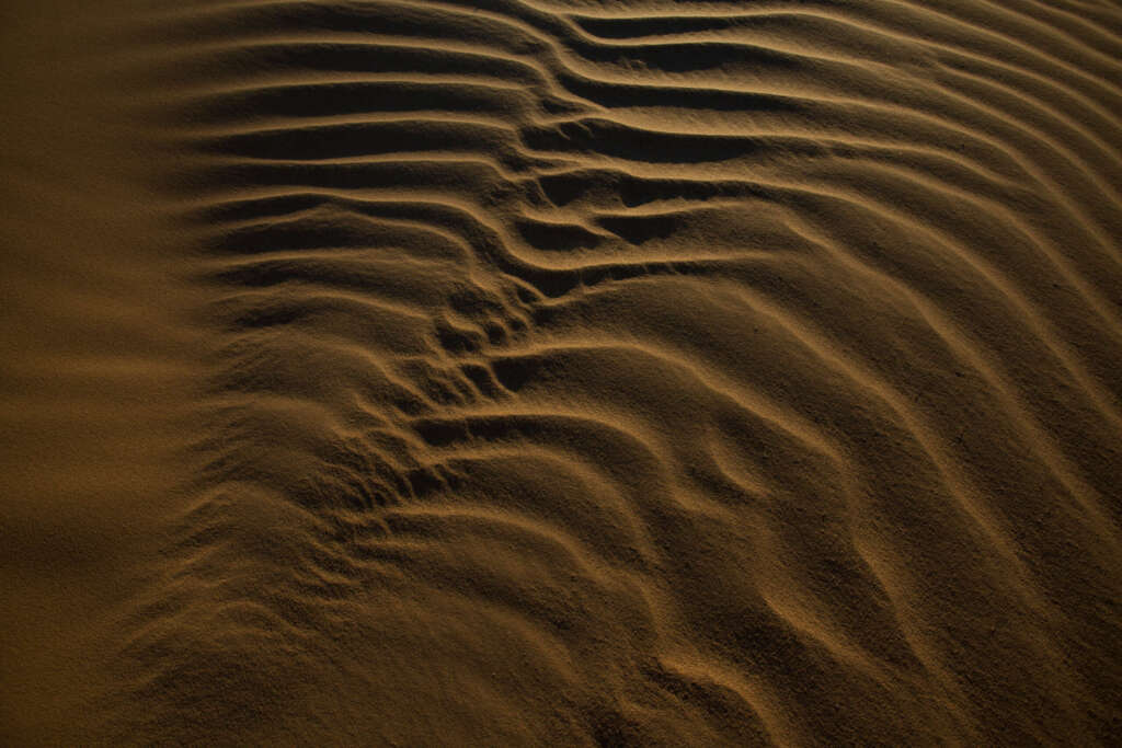 Desert, Sahara, picture - stock image
