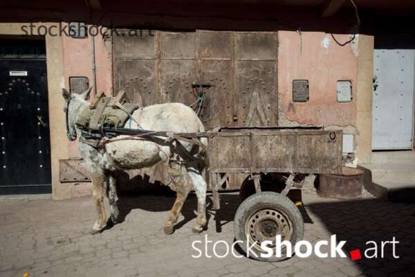 A donkey with a cart on the street in Marrakech